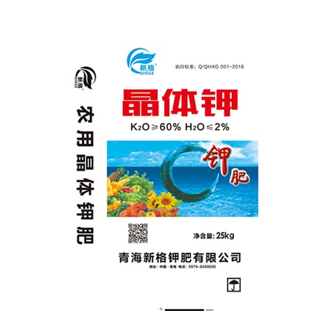 宿城區(qū)文體中心