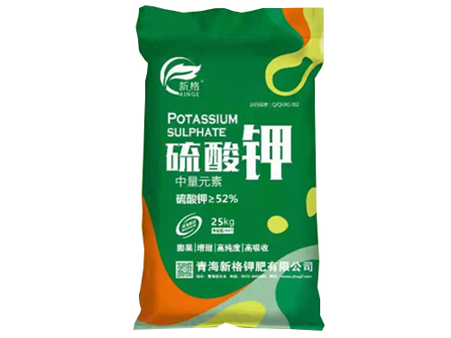 杭州喬司世紀(jì)大道鋼箱梁