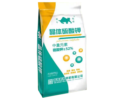 湖州南林大橋