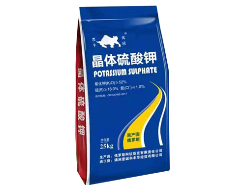 嘉興西南湖鋼箱梁